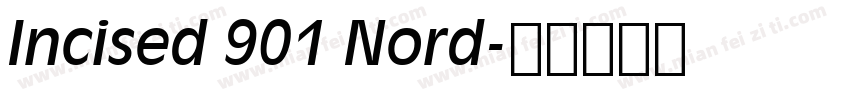 Incised 901 Nord字体转换